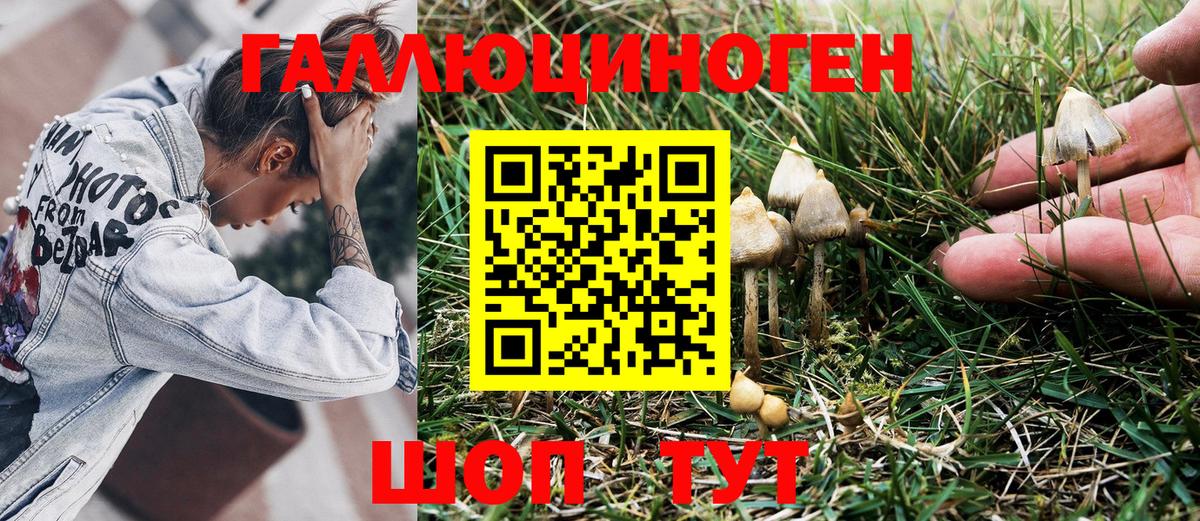 хочу наркоту  Псилоцибиновые грибы MAGIC MUSHROOMS  Вход с VPN  Муром  Псилоцибиновые грибы мухоморы 